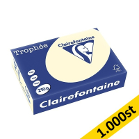 210g A4 papper | elfenben | Clairefontaine 2204PC | 1,000 ark [15kg] 250417
