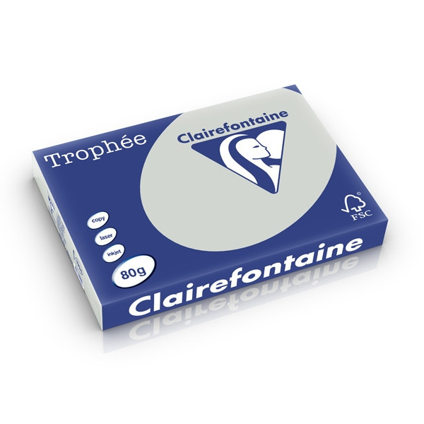 Clairefontaine 80g A3 papper | ljusgrå | Clairefontaine 1994PC | 500 ark 1994C 250178 - 1