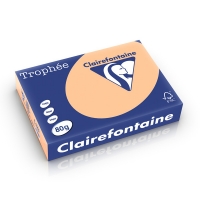 Clairefontaine 80g A4 papper | aprikos | Clairefontaine | 500 ark 1995C 250163