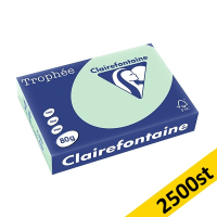 80g A4 papper | grön | Clairefontaine 1975PC | 2,500 ark [13kg] 250409