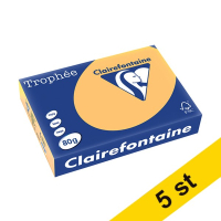 Clairefontaine 80g A4 papper | gyllengul | Clairefontaine 1780PC | 2500 ark [13kg]  250405