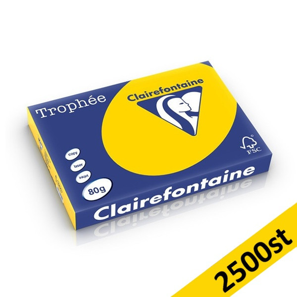 80g A4 papper | gyllengul | Clairefontaine 1780PC | 2,500 ark [13kg] 250405 - 1