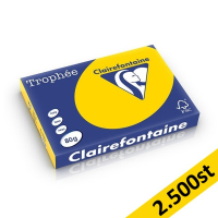 80g A4 papper | gyllengul | Clairefontaine 1780PC | 2,500 ark [13kg] 250405