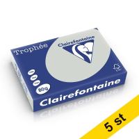 Clairefontaine 80g A4 papper | ljusgrå | Clairefontaine 1993PC | 2500 ark [13kg]  250471