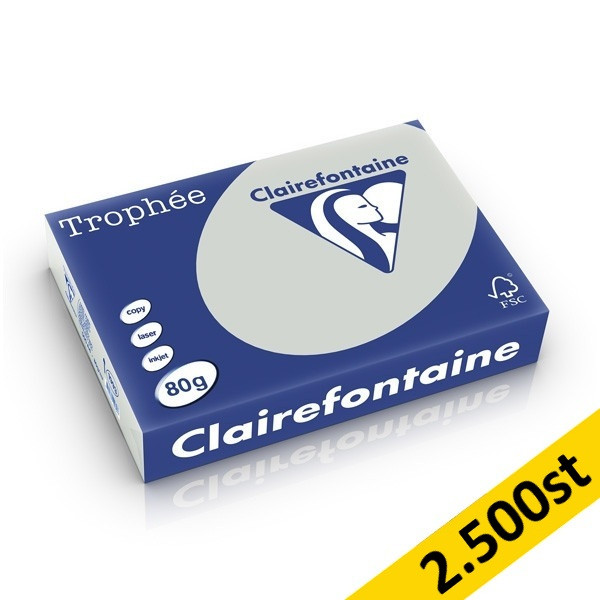 80g A4 papper | ljusgrå | Clairefontaine 1993PC | 2,500 ark [13kg] 250471 - 1