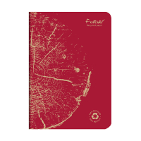 Clairefontaine Anteckningsbok A5 linjerat | röd | 48 ark | Clairefontaine 684863C 684863C 250451