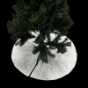 Julgransmatta Ø100cm | vit [Decoris] K150303265 - 1