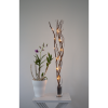 Dekorationskvist Willow Dew Drop | 60cm | brun [Star Trading] 584-33 501839 - 4