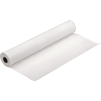 [DP] Pappersrulle 610mm x 30m | 120g | Epson S045287 | Presentation Matte 153101