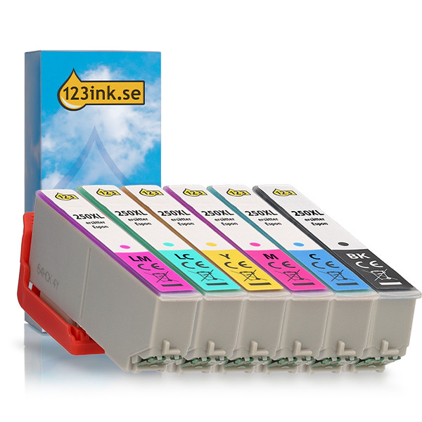 Epson 250XL BK/C/M/Y/LC/LM bläckpatron 6-pack (varumärket 123ink) 652111 - 1
