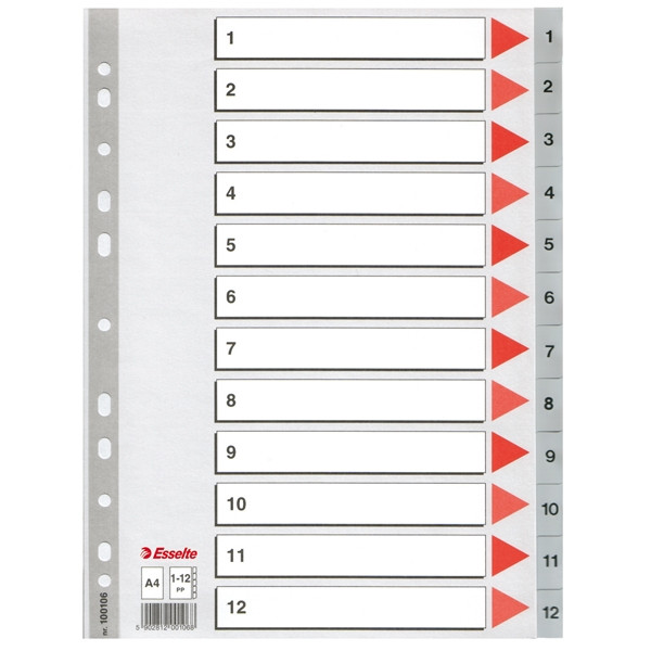 Pärmregister A4 | 1-12 | Esselte 100106 203814 - 1