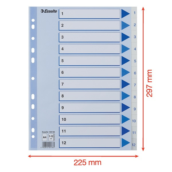 Esselte Pärmregister A4 | 1-12 | Esselte Non-Stop | polypropen 100136 238445 - 4