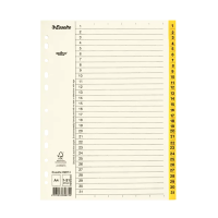 Pärmregister A4 | 1-31 | Esselte Servo SE001128
