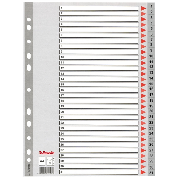 Pärmregister A4 | 1-31 | Esselte 100108 203818 - 1