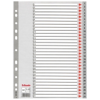 Pärmregister A4 | 1-31 | Esselte 100108 203818