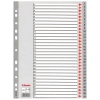 Pärmregister A4 | 1-31 | Esselte 100108 203818 - 1