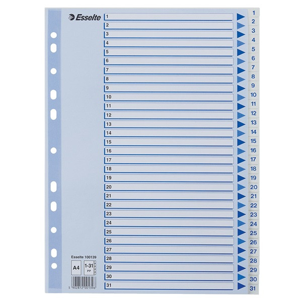 Pärmregister A4 | 1-31 | Esselte Non-Stop | polypropen 238447 - 1