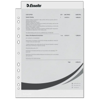 Plastficka A4 toppöppning 38my | Esselte 25st SE001586