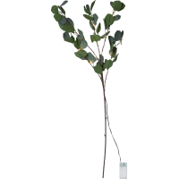 Eucalyptus LED dekorationskvist 581-31 361407