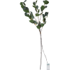 Eucalyptus LED dekorationskvist