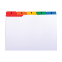 Exacompta Flikkort A6 148 x 117mm | Exacompta | 1 set 13997E 404082