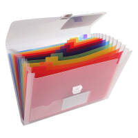 Projektmapp 13 fack | Exacompta transparent 404013