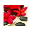 Fellowes Musmatta 22x20cm | Fellowes Earth Spa Blommor | återvunnet gummi 5904601 213245