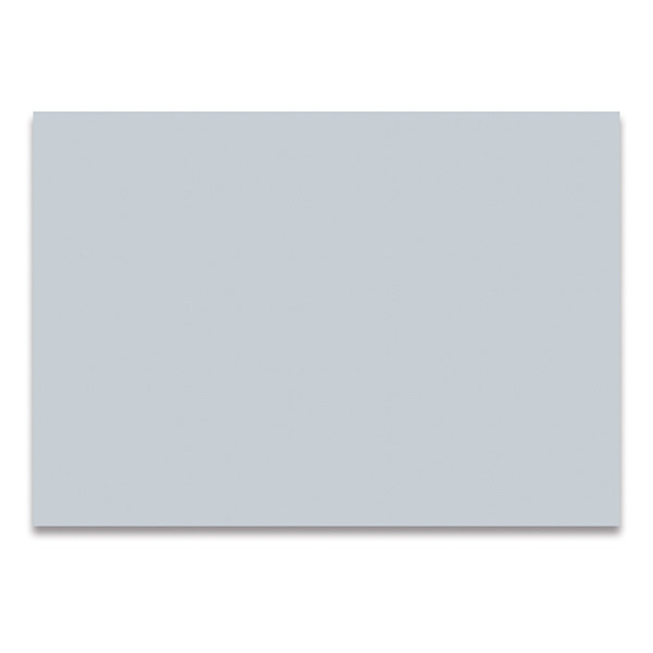 Folia Färgad Kartong 300g 50 x 70cm | Folia | ljusgrå | 25 ark FO-612580 222050 - 1