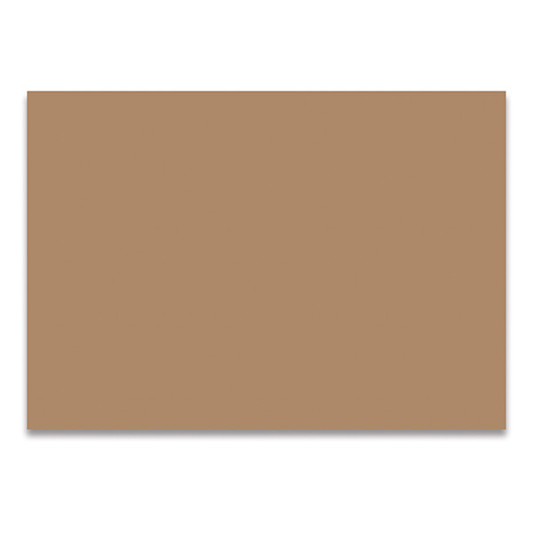 Folia Färgad Kartong 50x70cm | Folia | ljusbrun | 25 ark FO-612575 222048 - 1