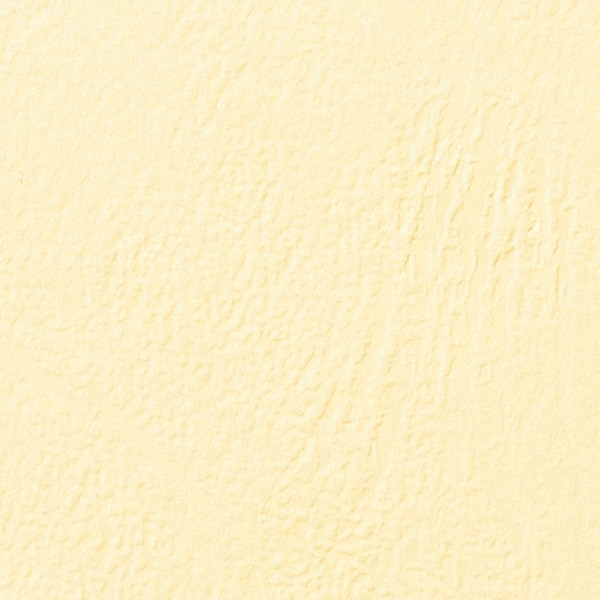 Inbindningsomslag A4 250 gram elfenbensfärgat läder | GBC CE040065 100st 207430 - 1