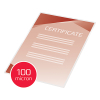 GBC Lamineringsfickor A4 100 mik. | blank | GBC 100st 3740306 207002 - 4