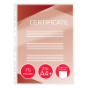 GBC Lamineringsfickor A4 (perforerade) 75 mik. | blank | GBC 25st 3747515 207036 - 2