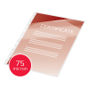 GBC Lamineringsfickor A4 (perforerade) 75 mik. | blank | GBC 25st 3747515 207036 - 4