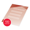 GBC Lamineringsfickor A4 (självhäftande) 100 mik. | blank | GBC 100st 41666E 207046 - 3