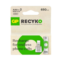 GP 650 ReCyko uppladdningsbart AAA | HR03 Ni-Mh batteri 2-pack⭐ AAA HR03 HR3 AGP00118