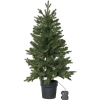Julgran med LED | Byske 90cm [Star Trading] 606-79-1 501923 - 1