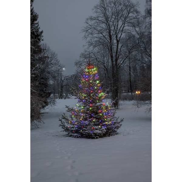 Julgransbelysning Dew Drop Micro | utomhus | 160 LED [Star Trading] 590-87 501861 - 5