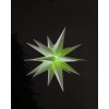 Julstjärna Alice för utomhusbruk | 57cm | vit [Star Trading] 505-10 361371 - 8