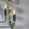 LED lampa E14 | C37 | 2.3W | dimbar [Star Trading] 349-01-1 361756 - 2