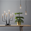 LED lampa E14 | G80 | soft glow | 1.5W | dimbar [Star Trading] 355-60-1 361760 - 2