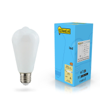LED lampa E27 | ST64 matt | 2700K | 4.5W (40W) | dimbar [123ink] LDR02112
