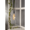 LED lampa E27 | 2200K | 2W | varmvit | dimbar [Star Trading] 355-19 501569 - 2