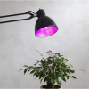 LED lampa E27 | A60 | Växtlampa | 6.5W [Star Trading] 357-37-1 361816 - 3