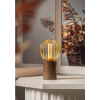 LED lampa E27 | G125 | 4.3W | dimbar [Star Trading] 353-98 501553 - 2