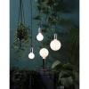 LED lampa E27 | G95 | 2600K | 5W | dimbar [Star Trading] 363-42-1 361863 - 2