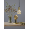LED lampa E27 | G95 | klar | 1.5W [Star Trading] 363-33 361495 - 4