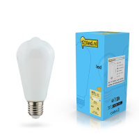 LED lampa E27 | ST64 matt | 2700K | 7W (60W) | dimbar [123ink] LDR02116