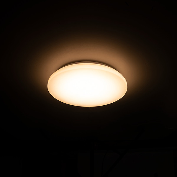 LED plafond | 3000K | Ø 27cm | IP44 | 12W [123ink]  LDR02030 - 3