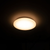 LED plafond | 3000K | Ø 27cm | IP44 | 12W [123ink]  LDR02030 - 3