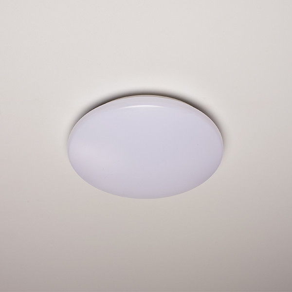 LED plafond Ø30cm | 4000K | IP44 | 15W [123ink]  LDR02033 - 2